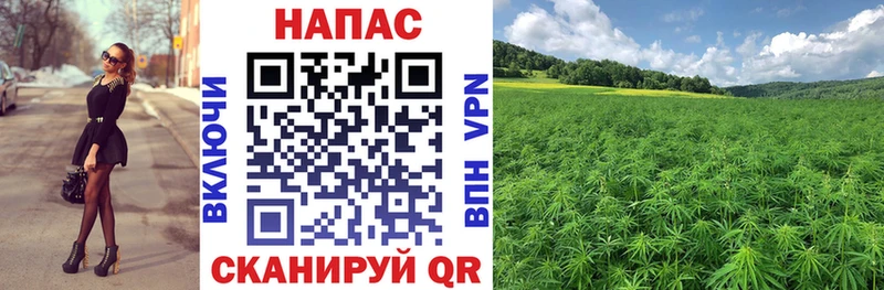 Купить наркоту Питкяранта АМФ Alpha PVP Героин МЕФ Псилоцибиновые грибы Марихуана ГАШ