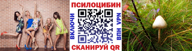 Псилоцибиновые грибы мицелий  купить закладку  omg ссылки  Питкяранта 